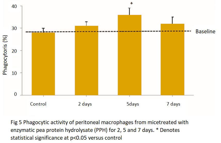 Fig 5-2 Immunomodulating function