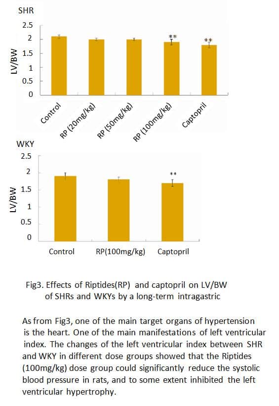 Fig2-Riptides-2