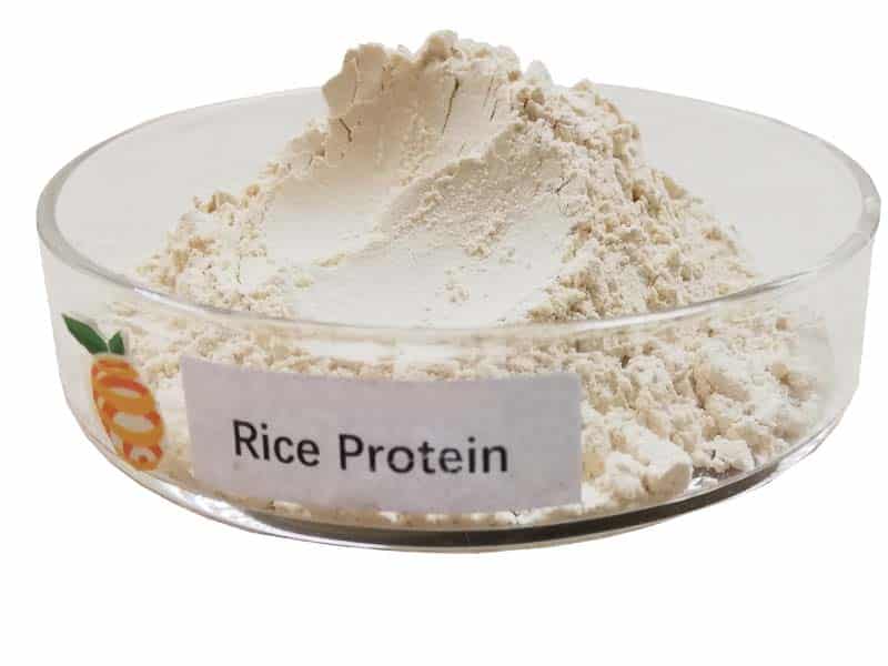 rice protein