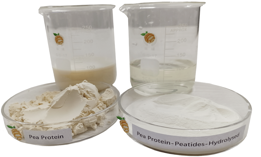 pea protein comparison pea protein comparison