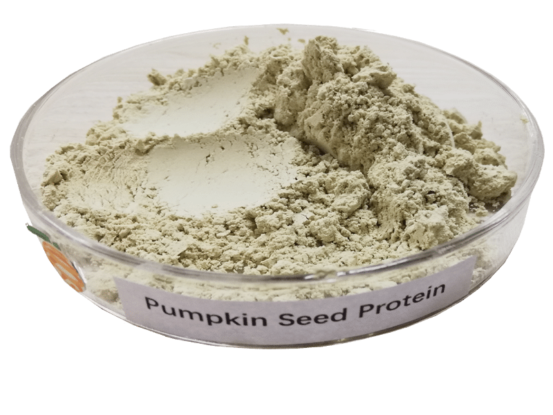 pumpkin protein type E