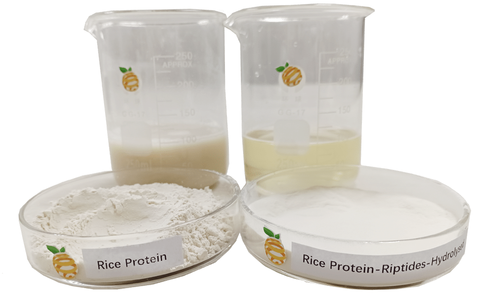 rice protein comparison rice protein comparison