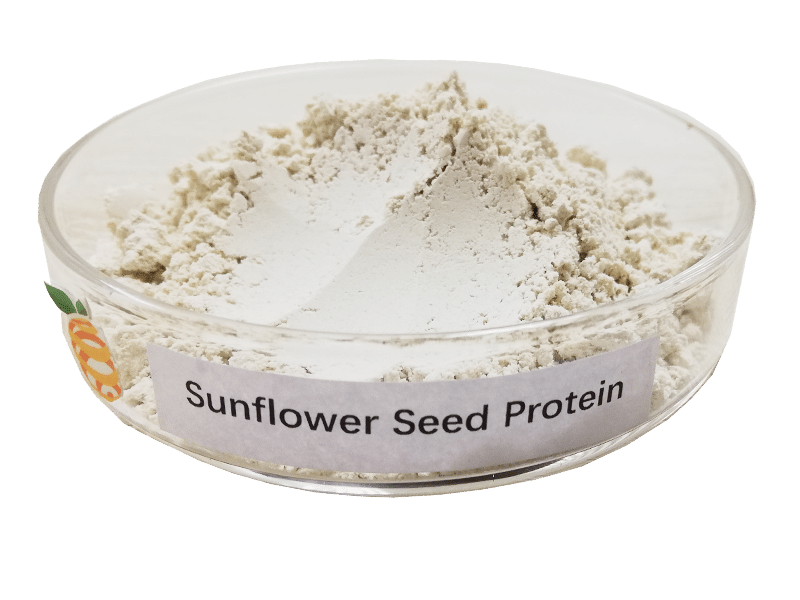 sunflower seed protein sunflower seed protein
