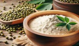 Understanding Novel Foods in the EU,mung bean protein