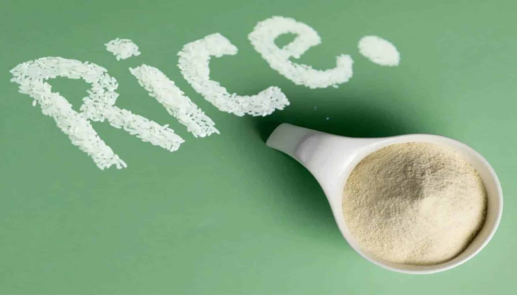 Unveiling the Surge and Potential of Rice Protein