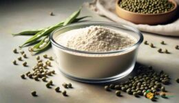 Influence of Processing Methods on the Subunits and Functional Properties of Mung Bean Protein.Optimize your recipes with enhanced mung bean protein – discover improved solubility, stability, and nutritional benefits through innovative processing methods.ET Protein.