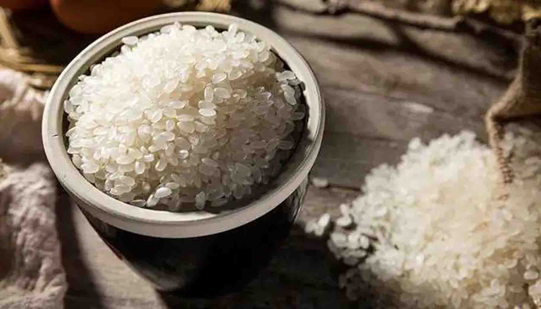 Characteristics of Rice Protein Frequently Consumed and Its Nutritional