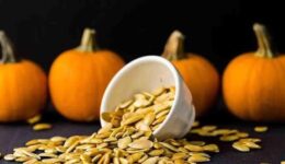 Health Benefits of Pumpkin Seeds.Elevate health with pumpkin seed benefits! Boost immunity, improve memory, and support heart health. Discover the power of nature's nutrition.