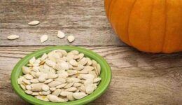 Pumpkin Seed Protein: Processing Impact & Functional Changes.Elevate health with organic pumpkin seed protein, a rich source of plant-based nutrition. Boost immunity, heart health, and more!