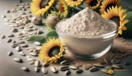 Sunflower Seed Protein: Nutritional and Health Insights.Discover the health benefits of sunflower seed protein, rich in amino acids, vitamins, and minerals for balanced nutrition and wellness.