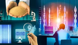 LNA-TaqMan PCR for GM Rice Detection.Exploring a novel method for detecting GM ingredients in rice using LNA-TaqMan probes, enhancing specificity and sensitivity in food safety.