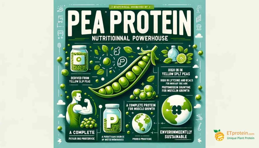 Brown Rice vs. Pea Protein: A Comprehensive Guide.Explore the benefits of brown rice vs. pea protein and discover ETprotein's high-quality, sustainable plant-based protein options for optimal health.