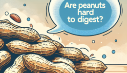 Are Peanuts Hard To Digest?