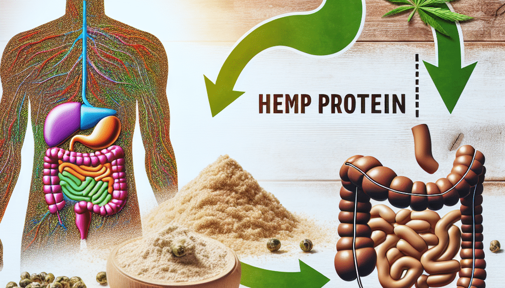 Is Hemp Protein Good For Gut Health?