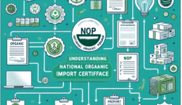 Understanding Nop Import Certificate: Your Complete Guide