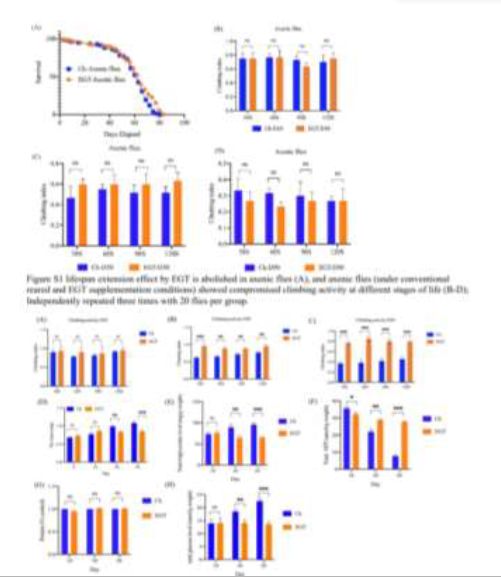 From the journal：Food & FunctionErgothioneine exhibits longevityextension effect in Drosophilamelanogaster via regulation of cholinergic neurotransmission，tyrosine metabolism，and fatty acidoxidation.Hong-Yu Pan，Zhi-Wei Ye，Qian-Wang Zheng，Fan Yun，Ming-Zhen Tu，Wei-Guo Hong，Bai-Xiong Chen，Li-Qiong Guo and Jun-Fang Lin