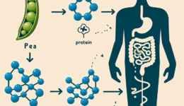 Can pea protein cause lBS?