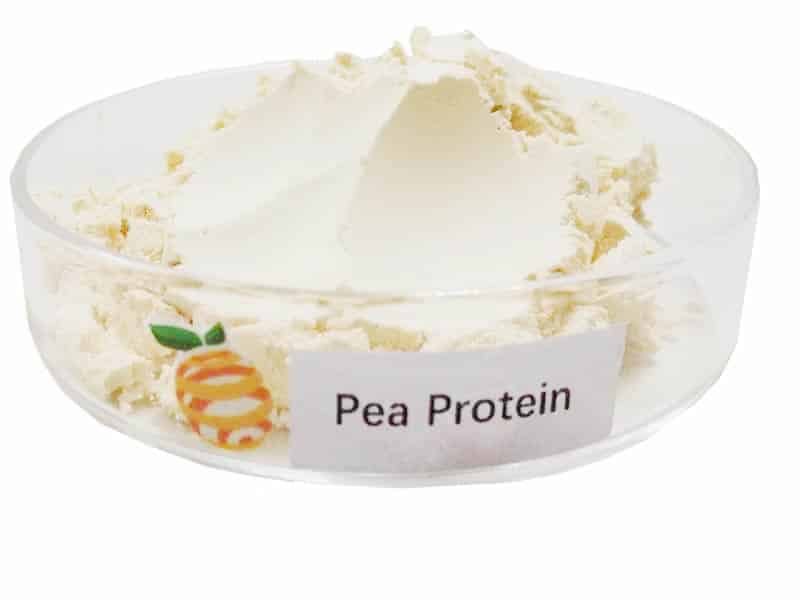 pea protein supplier