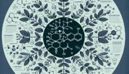 Berberine Hydrochloride Wikipedia Overview and Key Insights