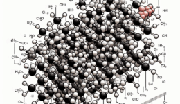 Poly Beta Hydroxybutyric Acid Explored