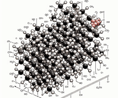 Poly Beta Hydroxybutyric Acid Explored