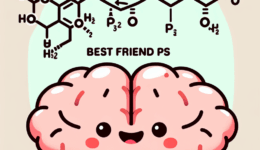 Fosfatidilserina PS: il miglior amico del cervello