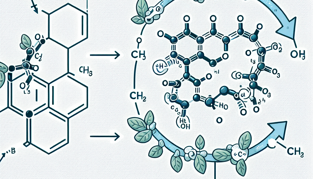 Understanding α-Ketoglutarate and Its Functions