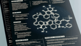 Beta Phenyl Gamma Aminobutyric Acid Side Effects Guide